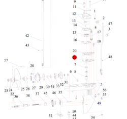 Nummer 21 på billedet