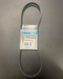 Quicksilver Belt-Serpentine