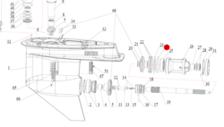 Nummer 24 på billedet