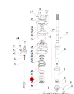 Nummer 38 på billedet