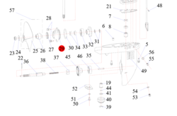 Lower Casing Cap(Spray Painting)