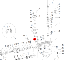 Nummer 64 på billedet