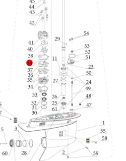 Nummer 38 på billedet