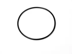 O-ring lower casing (57.8*2)