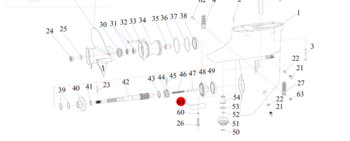Nummer 61 på billedet