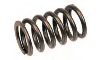 Motordelar Valve springs - D4 - D6