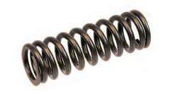 Motordelar Valve springs - D9 - D11 - D12