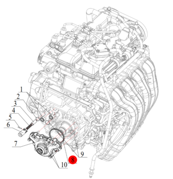 Nummer 8 på billedet