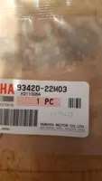 Yamaha CIR CLIP (6E0)