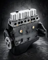 Volvo / Mercruiser 3.0 L & 3.0 LX - 140 HK (181 ccm)